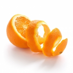 ξύσμα πορτοκαλιού